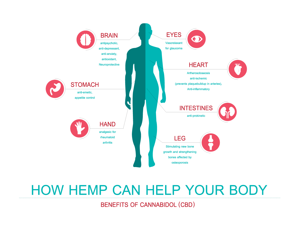 how hemp can help your body