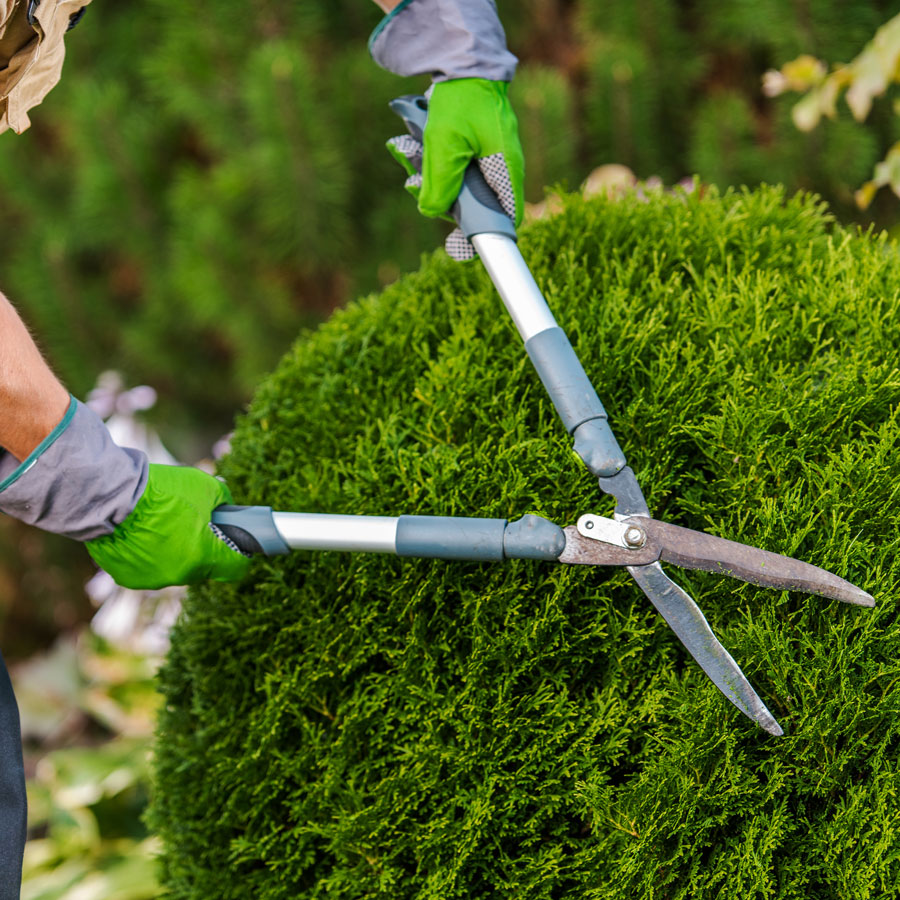 Landscape Maintenance